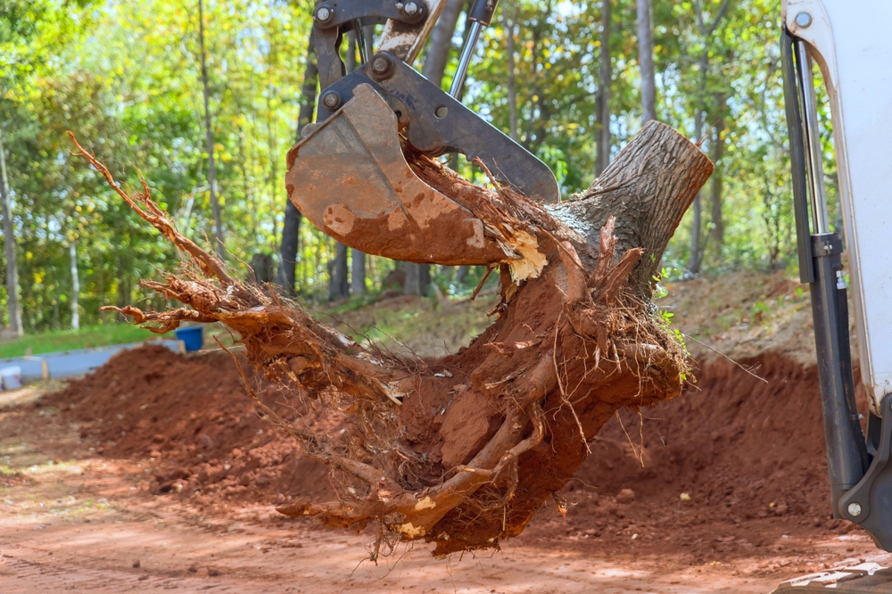 Housing,complex,construction,clearing,land,by,removing,roots,with,skid